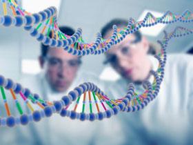 Независимая экспертиза ДНК: установление отцовства и материнства